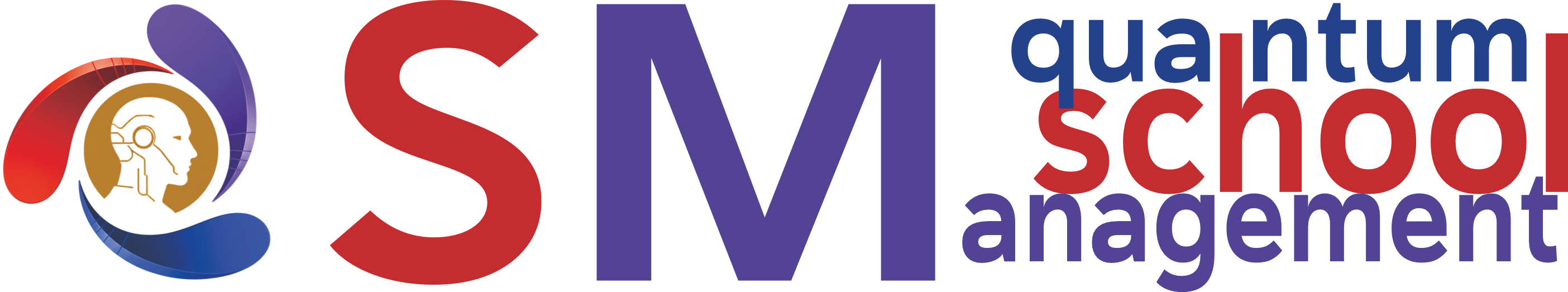 QSM Logo